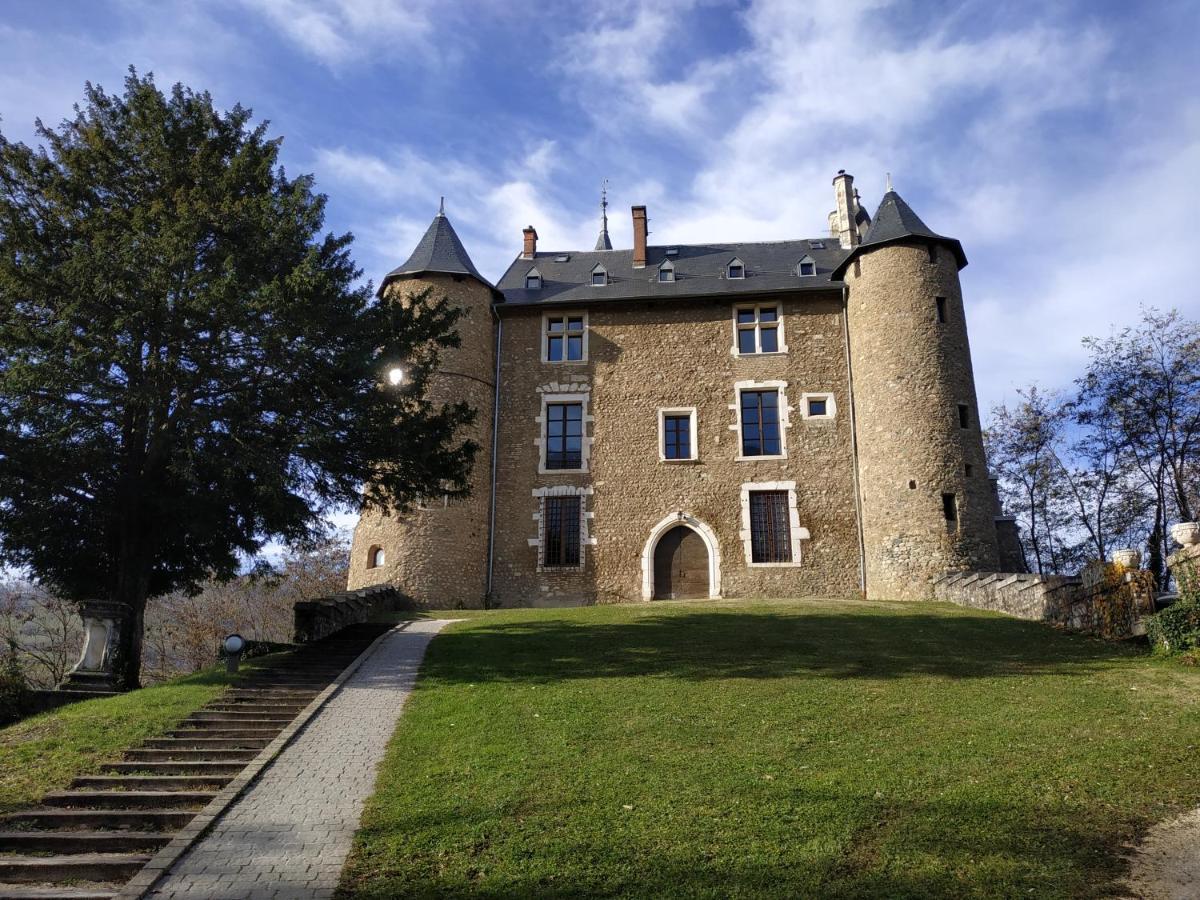 Appartement Chateau Uriage-Chamrousse Saint-Martin-dʼUriage Exteriér fotografie